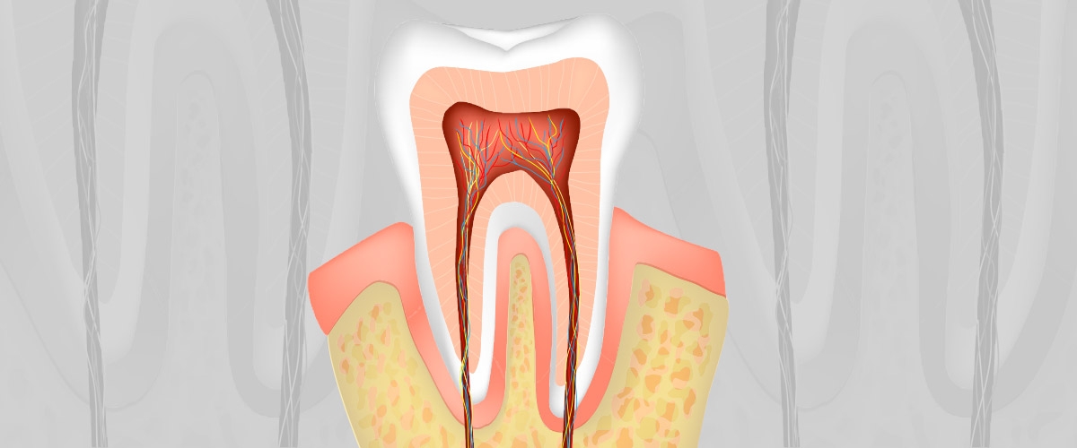 Co się dzieje wewnątrz zęba?